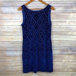 WHBM | Blue Velvet Burnout Shift Dress Size Small